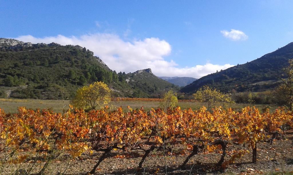 Au Paradis Cathare Fraissé-des-Corbières Dış mekan fotoğraf